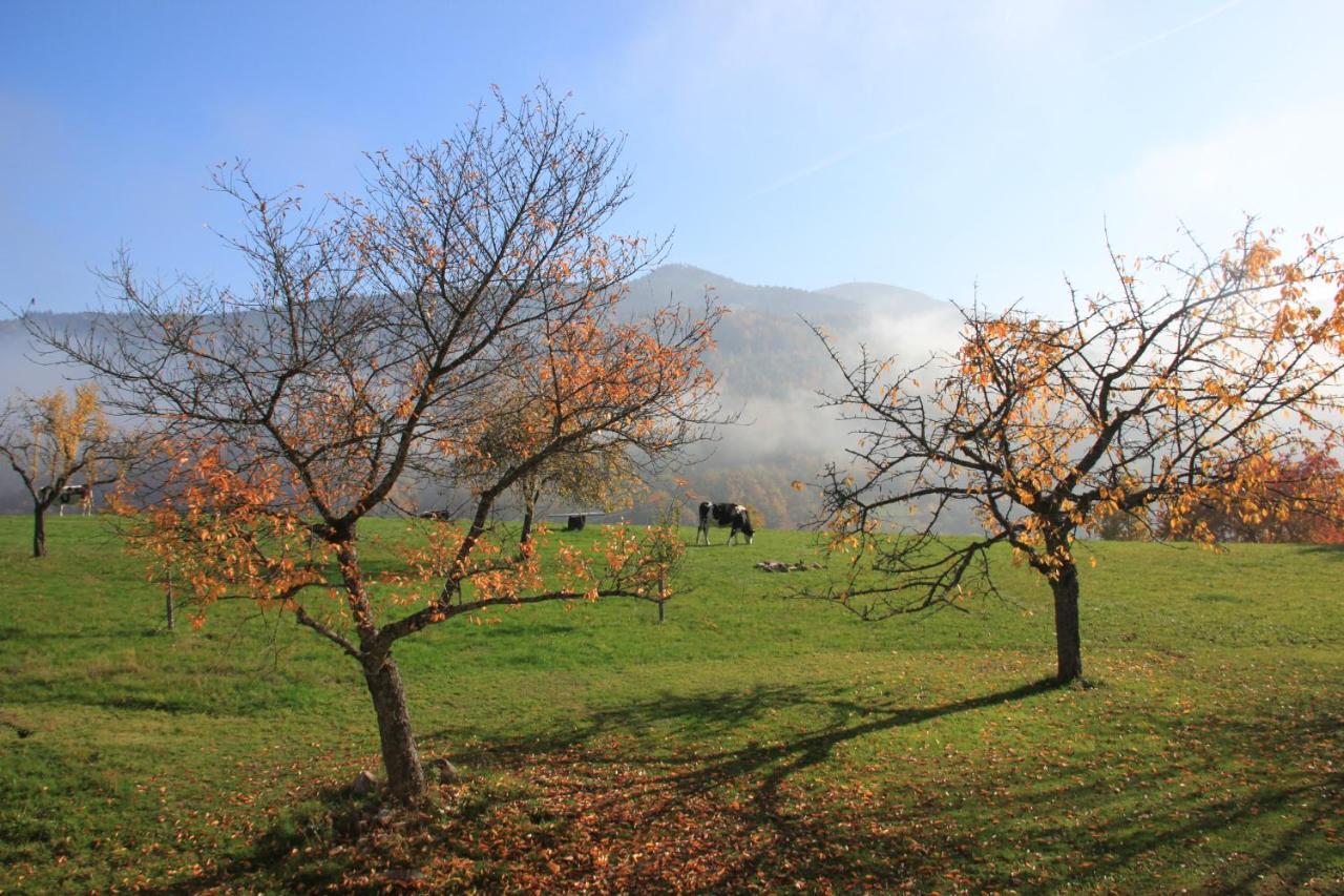 La Colline Du Baa - Maison D'Hotes D'Exception Lapoutroie Luaran gambar